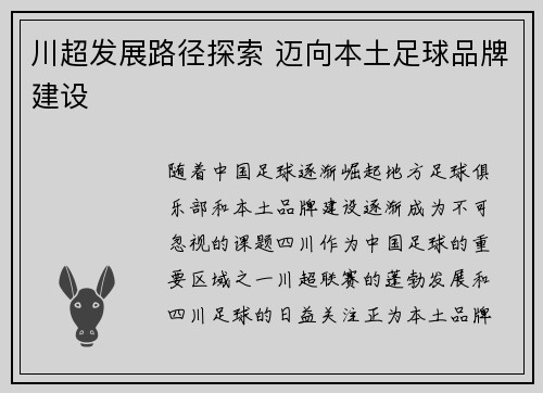 川超发展路径探索 迈向本土足球品牌建设